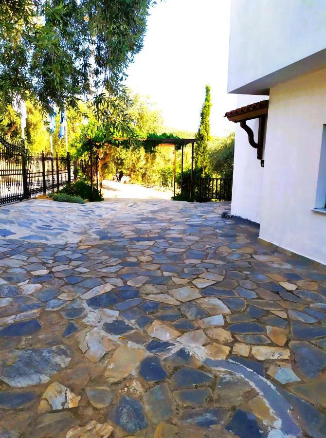 Villa Leonidas Greecefiloxenia Lefokastro Exterior foto