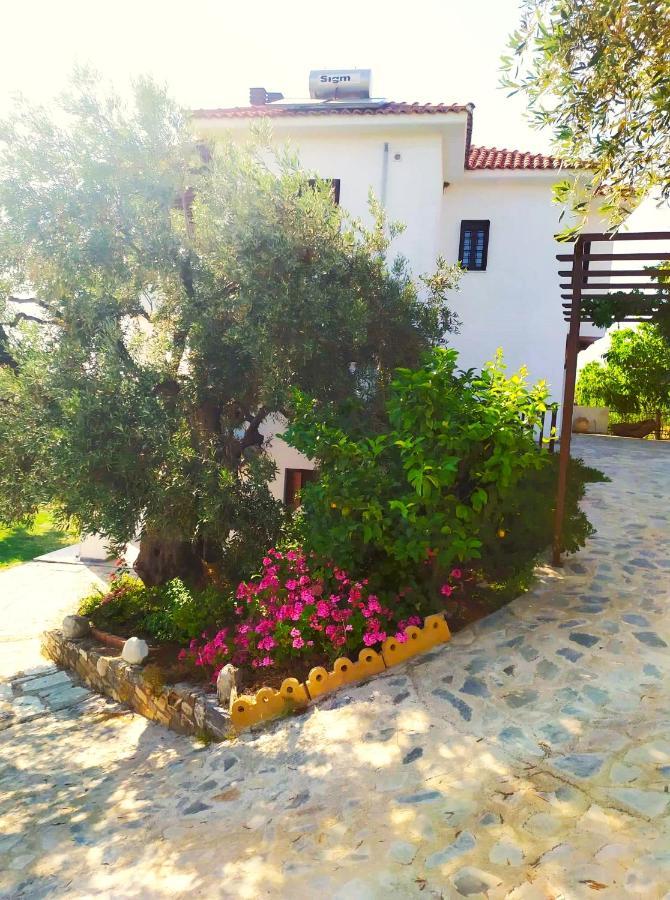Villa Leonidas Greecefiloxenia Lefokastro Exterior foto